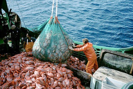 Overfishing in Africa